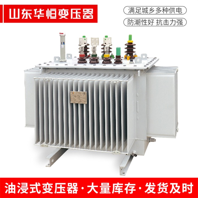 S13-10000/35安乡安乡安乡电力变压器